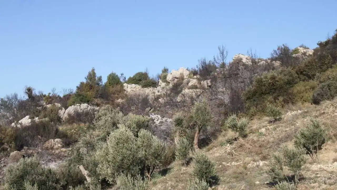 Serik’te Gece Boyu Süren Yangının Bilançosu Sabah Netleşti 5